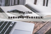 日本薰衣草入口（日本薰衣草花海）